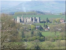 SO4108 : Raglan Castle by Philip Halling