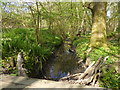 Looking north along stream from one plank bridge to another