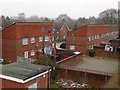 Houses in Curly Bridge Close