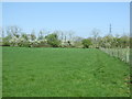 Footpath (beside the fence) towards the Monarch