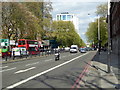 A sunny afternoon in Euston Road