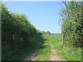 Gated farm track near The Poplars