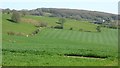 SO4903 : Farmland near Llanishen by Philip Halling