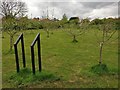 Community orchard at Franklin Park, Braunstone