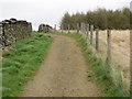SD8427 : The Pennine Bridleway heading for Red Moss by Peter Wood