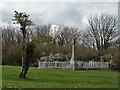 The war memorial, Marian-glas