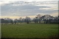 SJ8332 : Farmland, Millmeece by N Chadwick