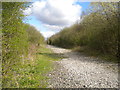 Railway trackbed north west of Bestwood Village