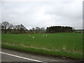 Fields by the B7076