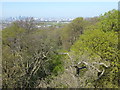 View from Severndroog Castle