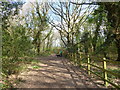 Path on Laindon Common