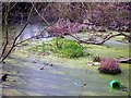 Highlea Pond, St Leonards-on-Sea