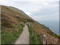 O2815 : Near Bray Head on the cliff walk by Gareth James