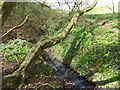 River Crouch near Noak Hill