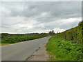 Road west from Winterborne Kingston