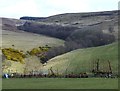 Grassland and old farm implements at Hudspeth