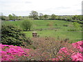 Fields near Furzey Gardens