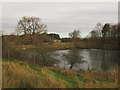 SJ7581 : Mill Pool in Tatton Park by Stephen Craven