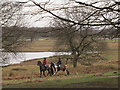 SJ7481 : Horse riders near Melchett Mere in Tatton Park  by Stephen Craven