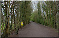 Old railway path near Keswick station