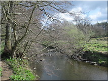 NY8257 : The River East Allen by Bishopfield Haugh by Mike Quinn