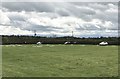SK1427 : Dressage arenas at Eland Lodge Horse Trials by Jonathan Hutchins