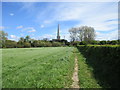 Footpath and Hemingbrough church