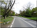 Bus stop on Totteridge Common