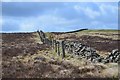 NT3140 : Wall and fence on Black Knowe by Jim Barton