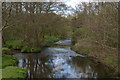 River Clywedog flowing towards Kings Mills