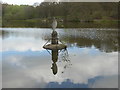 TQ6289 : Old Hall Pond in Thorndon Country Park South by Marathon