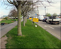 ST3037 : Tree-lined East Quay, Bridgwater by Jaggery