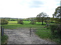 Field entrance and grazing near Ganwick Farm