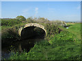 Park Bridge over River Cary