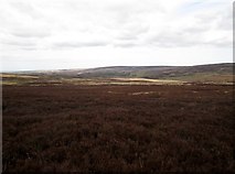 SE8498 : Goathland  Moor  from  the  Lyke  Wake  Walk by Martin Dawes