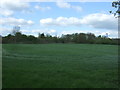 TL2710 : Grassland off Holwell Lane (B1455) by JThomas