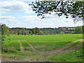 View over valley of Belchamp Brook