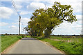 Road east from Belchamp Walter