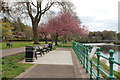 Seating Area at Dock Park, Dumfries