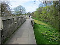 York City Walls in Springtime