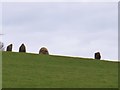 Stones on the ridge