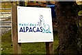 Sign for Hebridean Alpacas