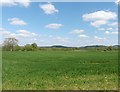 Fields in the Cary valley