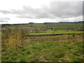 Countryside Outside Rothbury