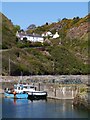 Burnmouth Brae From The Harbour