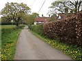 Prettymans Lane, near Four Elms