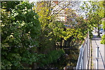 TQ1991 : Edgware Brook flowing beside Heming Road by Christopher Hilton