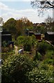 Burnt Oak: the Silk Stream flowing through allotments