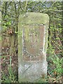 Old Milestone by the A290, Clapham Hill