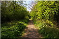 TQ2391 : Path along abandoned railway line, Mill Hill by Christopher Hilton